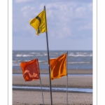 Europal Trophy - Compétition de chars-à-voile sur la plage de Berck-sur-mer.