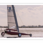 Europal Trophy - Compétition de chars-à-voile sur la plage de Berck-sur-mer.