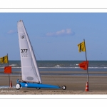 Europal Trophy - Compétition de chars-à-voile sur la plage de Berck-sur-mer.