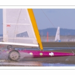 Europal Trophy - Compétition de chars-à-voile sur la plage de Berck-sur-mer.