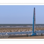 Europal Trophy - Compétition de chars-à-voile sur la plage de Berck-sur-mer.