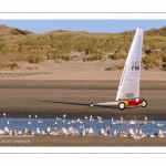 Europal Trophy - Compétition de chars-à-voile sur la plage de Berck-sur-mer.