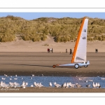 Europal Trophy - Compétition de chars-à-voile sur la plage de Berck-sur-mer.