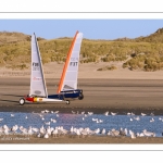 Europal Trophy - Compétition de chars-à-voile sur la plage de Berck-sur-mer.