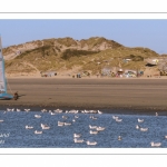 Europal Trophy - Compétition de chars-à-voile sur la plage de Berck-sur-mer.