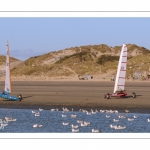 Europal Trophy - Compétition de chars-à-voile sur la plage de Berck-sur-mer.