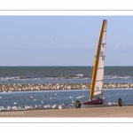 Europal Trophy - Compétition de chars-à-voile sur la plage de Berck-sur-mer.