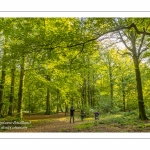 Promeneurs dans la forêt de Crécy dans la Somme en début d'automne
