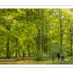 Promeneurs dans la forêt de Crécy dans la Somme en début d'automne