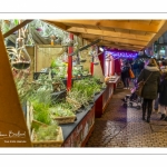 Le marché de Noël à Amiens
