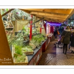 Le marché de Noël à Amiens