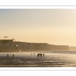 Equipe de cervolistes qui s'entraine au vol de cerf-volant synchronisé sur la plage de Ault près des falaises.