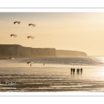 Equipe de cervolistes qui s'entraine au vol de cerf-volant synchronisé sur la plage de Ault près des falaises.