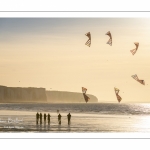 Equipe de cervolistes qui s'entraine au vol de cerf-volant synchronisé sur la plage de Ault près des falaises.