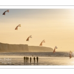 Equipe de cervolistes qui s'entraine au vol de cerf-volant synchronisé sur la plage de Ault près des falaises.