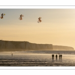 Equipe de cervolistes qui s'entraine au vol de cerf-volant synchronisé sur la plage de Ault près des falaises.