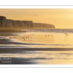 Crépuscule sur les falaises à Ault.