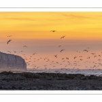 Crépuscule sur les falaises à Ault.