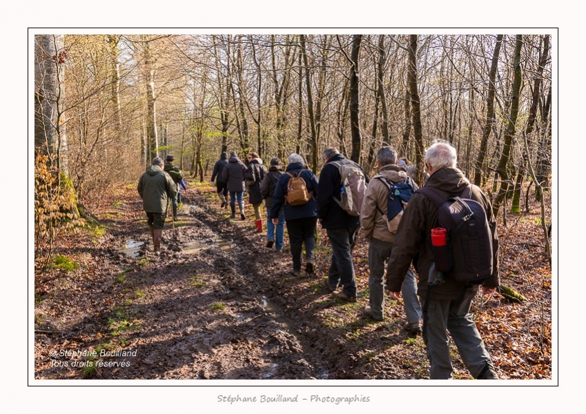 Foret_Crecy_Fleur_Lys_Jacques_BAC_028-border