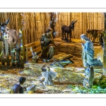 Marché et annimations de Noël à Abbeville