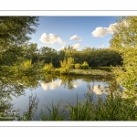 Bourdon et le Marais des Cavins