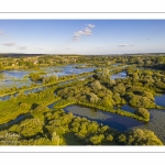 Bourdon et le Marais des Cavins