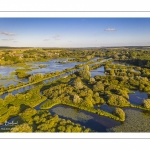 Bourdon et le Marais des Cavins