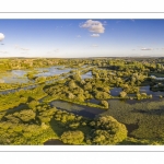 Bourdon et le Marais des Cavins