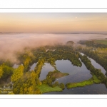 Le marais de Ailly-sur-Somme