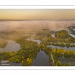 Le marais de Ailly-sur-Somme