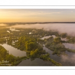 Le marais de Ailly-sur-Somme