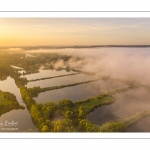 Le marais de Ailly-sur-Somme