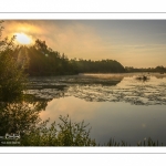 Le marais de Ailly-sur-Somme