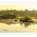 Le marais de Ailly-sur-Somme