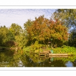 Amiens en automne