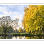 Amiens en automne