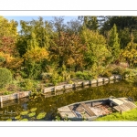 Amiens en automne