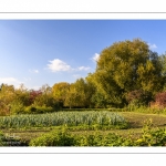 Amiens en automne