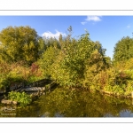 Amiens en automne