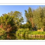 Amiens en automne