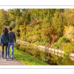 Amiens en automne