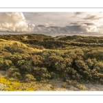 Les dunes du Marquenterre en fin de journée