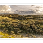 Les dunes du Marquenterre en fin de journée