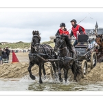 Marathon d'attelages sur la plage de Berck-sur-mer
