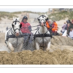 Marathon d'attelages sur la plage de Berck-sur-mer