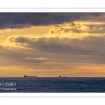 Passage des bateaux cargo et porte-containers dans la Manche au large d'Ambleteuse.