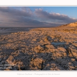 Ault sur sa falaise dans la lumière du couchant. La marée basse découvre le plateau crayeux rongé par la mer et les silex qui affleurent. Saison : Hiver. Lieu : Ault, Côte Picarde, Somme, Picardie, Hauts-de-France, France. Ault on its cliff in the light of the sunset. Low tide discovers the chalky plateau gnawed by the sea and flints that outcrop. Season: Winter. Location: Ault, Picardy Coast, Somme, Picardie, Hauts-de-France, France.