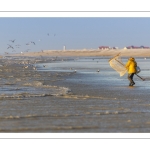 Pêcheurs au haveneau à Ault