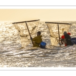 Pêcheurs au haveneau à Ault