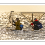 Pêcheurs au haveneau à Ault